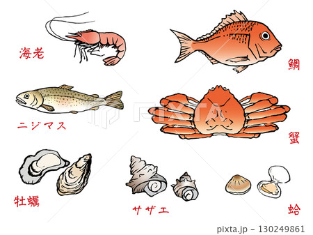 手描き　魚介類　セット 130249861
