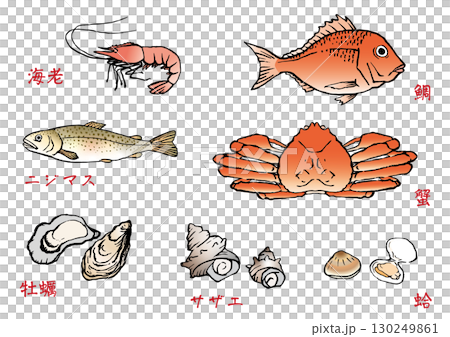 手描き　魚介類　セット 130249861