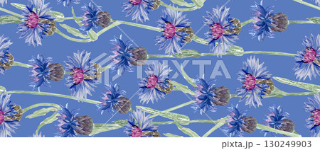 Knapweed flowers watercolor seamless pattern isolated on blue background. Hand-painted botanical wildflowers. Perfect for borders, greeting cards, rustic patterns, garden design, floral eco packaging 130249903