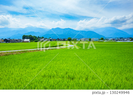 田舎の夏【長野県】 130249946