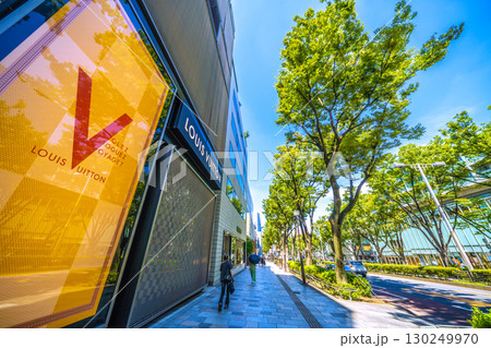 日本の東京都市景観 東京・表参道の緑溢れる並木などを望む 130249970