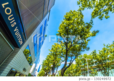 日本の東京都市景観 東京・表参道の緑溢れる並木などを望む 日本の東京都市景観 東京・表参道の緑溢れる並木などを望む 130249972