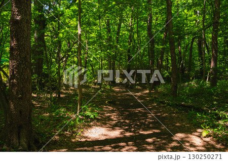 川俣川渓谷 自然遊歩道 川俣川渓谷 自然遊歩道 130250271