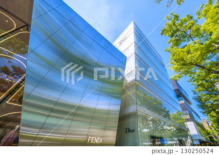 日本の東京都市景観 東京・表参道の緑溢れる並木などを望む 130250524