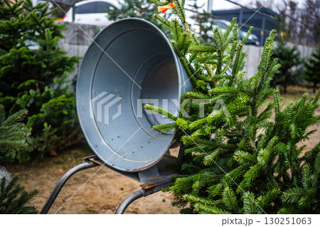 Christmas Tree Wrapping Machine And On...の写真素材 [130251063] - PIXTA