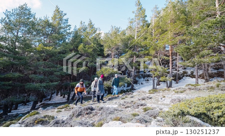 Hikers walking in snowy pine forest on sunny winter day 130251237