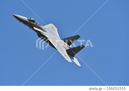 主翼を魅せるF-15 機動飛行④ 130251555