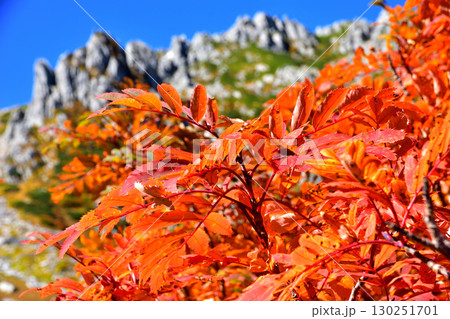 紅葉と山 130251701