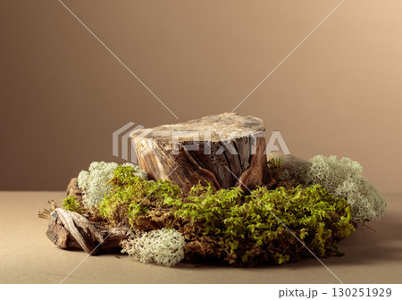 Composition with natural wooden snags and moss for advertising eco products. 130251929