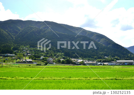 緑の田園と山裾に広がる農村 130252135