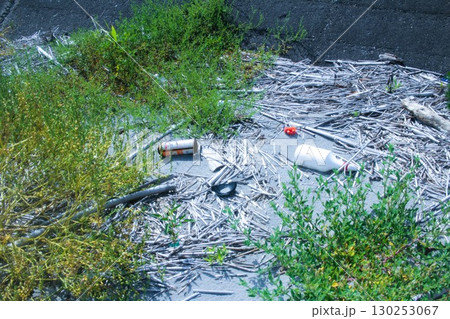 砂浜のごみ 130253067