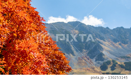 紅葉と山々 紅葉と山々 130253145