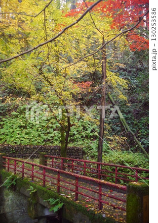 加茂山公園の紅葉 加茂山公園の紅葉 130253586