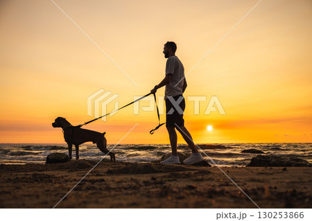 Man walking with a German Boxer dog on a leash along the beach during sunset, silhouette view against the colorful evening sky and ocean waves. 130253866