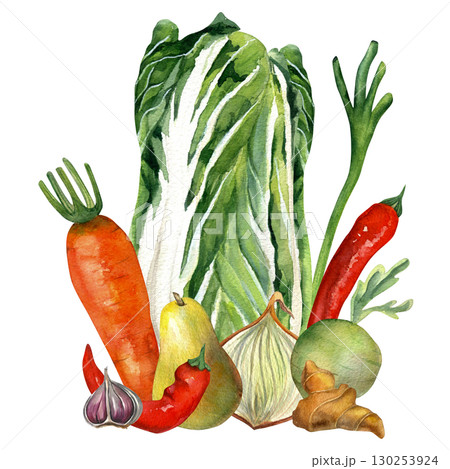 Watercolor composition of vegetables for kimchi - Chinese cabbage, onion, ginger, carrot, daikon and pepper. For kimchi party design, recipes and cards Watercolor composition of vegetables for kimchi - Chinese cabbage, onion, ginger, carrot, daikon and pepper. For kimchi party design, recipes and cards 130253924