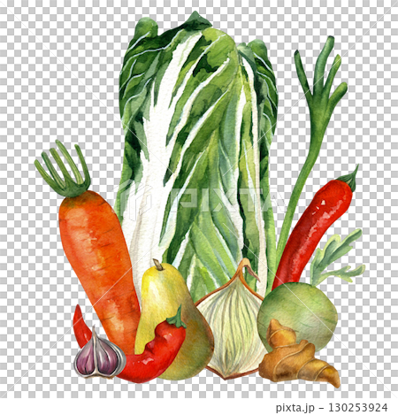 Watercolor composition of vegetables for kimchi - Chinese cabbage, onion, ginger, carrot, daikon and pepper. For kimchi party design, recipes and cards 130253924