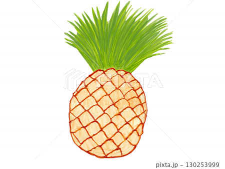 パイナップル 130253999
