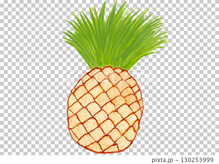 パイナップル 130253999