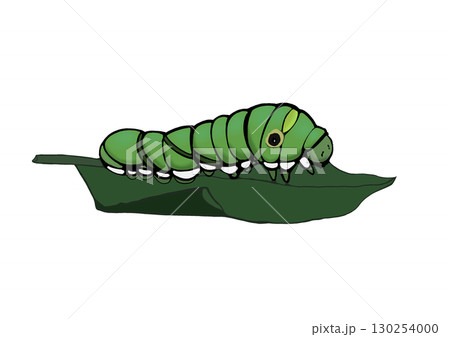 青虫（葉っぱの上） 130254000
