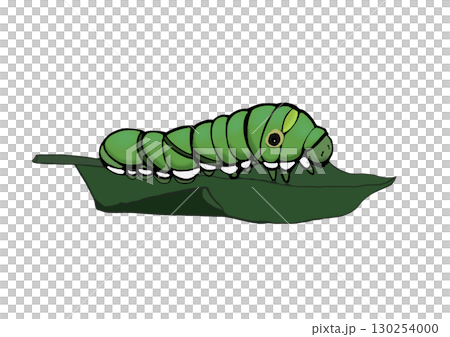 青虫（葉っぱの上） 130254000