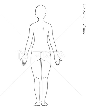 解剖学的正位　女性　背面　線画 130254233