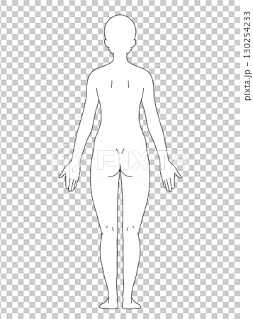 解剖学的正位　女性　背面　線画 130254233