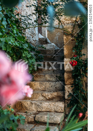 Old stone staircase surrounded by green vines and flowers in a rustic village. Slow travel, countryside tourism, mindful living, heritage hospitality 130254603