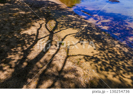 沖島の湖畔風景 130254736