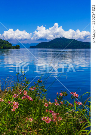 沖島の湖畔風景 130254823