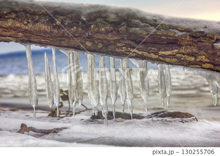 frozen coast sea in winter frozen coast sea in winter 130255706
