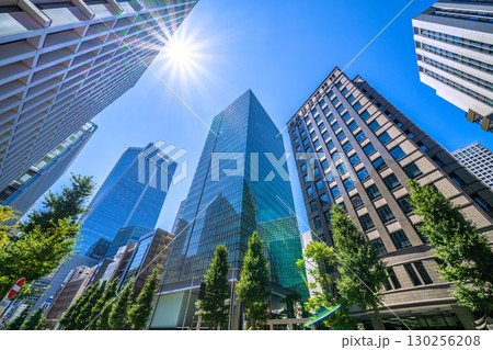 日本の東京都市景観 虎ノ門琴平タワーや金刀比羅宮などを望む。(画面左奥方向に虎ノ門ヒルズ駅) 日本の東京都市景観 虎ノ門琴平タワーや金刀比羅宮などを望む。(画面左奥方向に虎ノ門ヒルズ駅) 130256208
