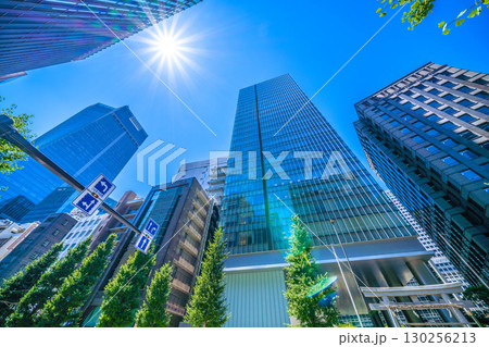 日本の東京都市景観 虎ノ門琴平タワーや金刀比羅宮などを望む。（画面左奥方向に虎ノ門ヒルズ駅） 130256213