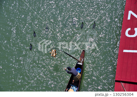 《愛知県》犬山市　木曽川鵜飼・遊覧 130256304