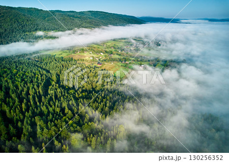 Aerial view of dense forest partially shrouded in mist, revealing patches of vibrant green trees. Fog gradually unveils quaint village nestled among trees, creating serene and enchanting landscape. Aerial view of dense forest partially shrouded in mist, revealing patches of vibrant green trees. Fog gradually unveils quaint village nestled among trees, creating serene and enchanting landscape. 130256352