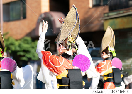 阿波踊り 女踊り 阿波踊り 女踊り 130256408