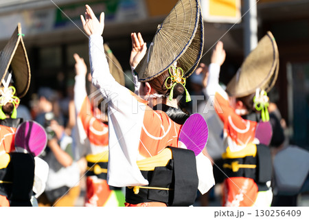阿波踊り 女踊り 阿波踊り 女踊り 130256409