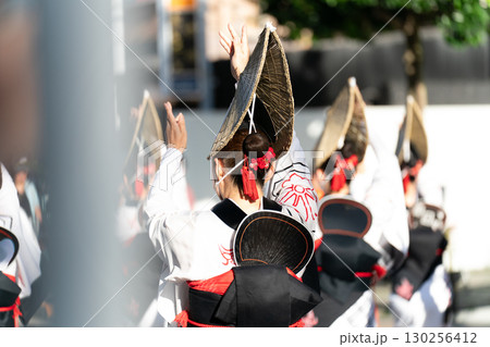 阿波踊り　女踊り 130256412