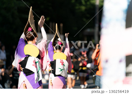 阿波踊り 女踊り 阿波踊り 女踊り 130256419