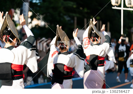 阿波踊り 女踊り 阿波踊り 女踊り 130256427