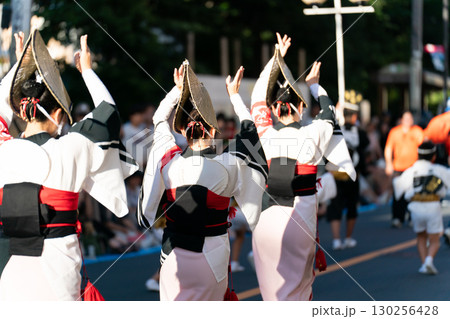 阿波踊り 女踊り 阿波踊り 女踊り 130256428