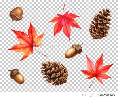 秋葉、橡實、松果水彩插圖 秋葉、橡實、松果水彩插圖 130256485