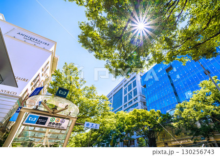 日本の東京都市景観 東京・表参道の緑溢れる並木や表参道駅出入口A2などを望む。右にアルマーニ 日本の東京都市景観 東京・表参道の緑溢れる並木や表参道駅出入口A2などを望む。右にアルマーニ 130256743