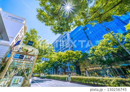 日本の東京都市景観 東京・表参道の緑溢れる並木や表参道駅出入口A2などを望む。右にアルマーニ 130256745