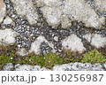 コンクリートの地面 130256987