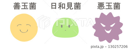 腸内細菌のイラスト　善玉菌・日和見菌・悪玉菌 130257206