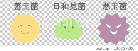 腸内細菌のイラスト　善玉菌・日和見菌・悪玉菌 130257206