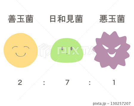 腸内細菌のイラスト　善玉菌・日和見菌・悪玉菌 130257207