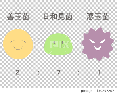 腸内細菌のイラスト　善玉菌・日和見菌・悪玉菌 130257207