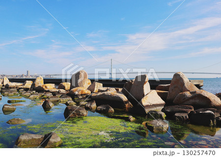 大蔵海岸公園・磯浜 130257470
