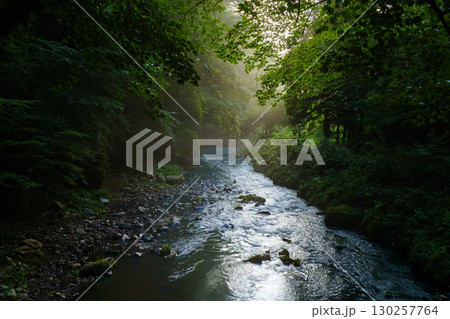 朝日が差し込む帝釈峡　 広島県神石郡 130257764